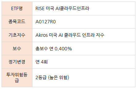 RISE 미국 AI클라우드인프라 ETF
